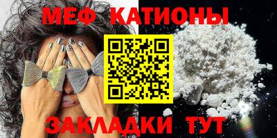 прущие грибы Будённовск