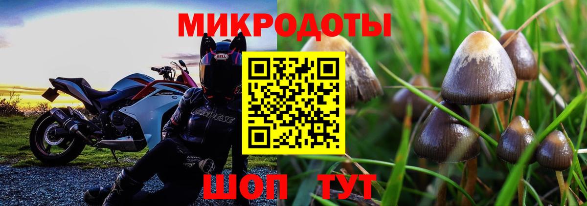 Галлюциногенные грибы прущие грибы Кудрово